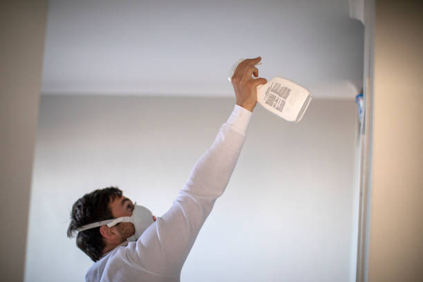Best Mold Removal Company Near Me  in Vernon, TX
