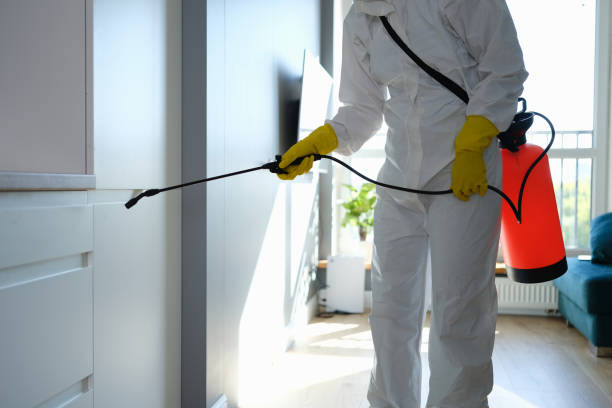 Best Mold Testing  in Vernon, TX